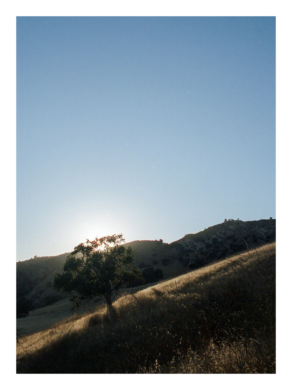 Malibu Creek park photo post card