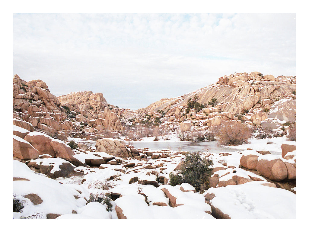 Joshua Tree national Park photo post card