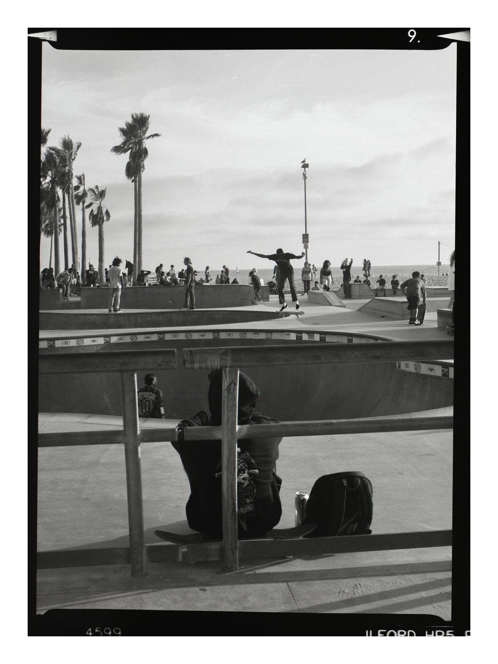 Black and white photo of a skateboarder performing a trick at a skate park with palm trees in the background in Venice beach california