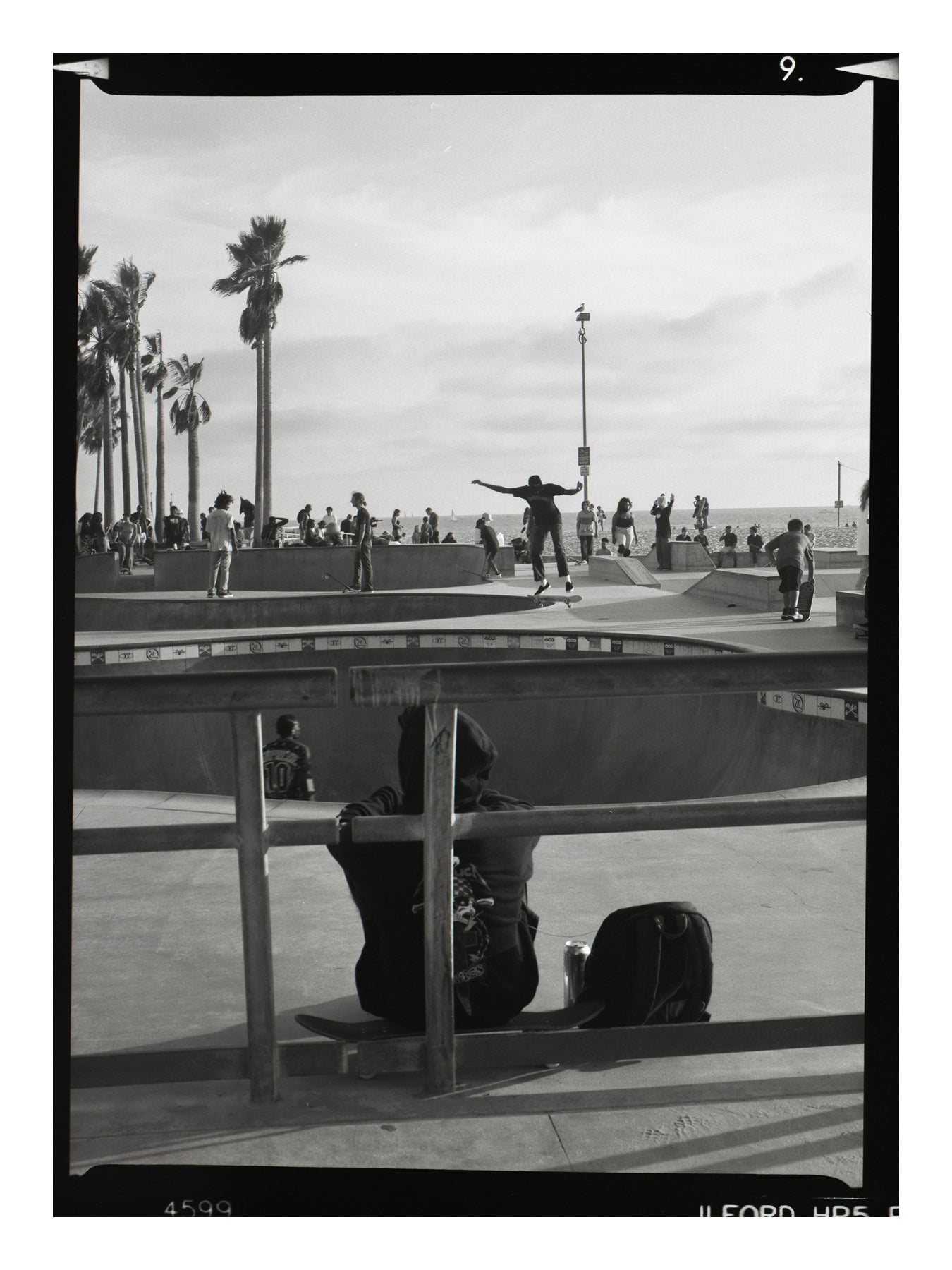 Black and white photo of a skateboarder performing a trick at a skate park with palm trees in the background in Venice beach california