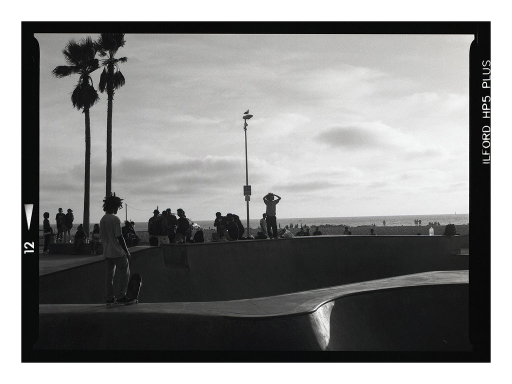 Black and white photograph of a skateboarder at a skate park with palm trees and a cloudy sky in Venice beach california