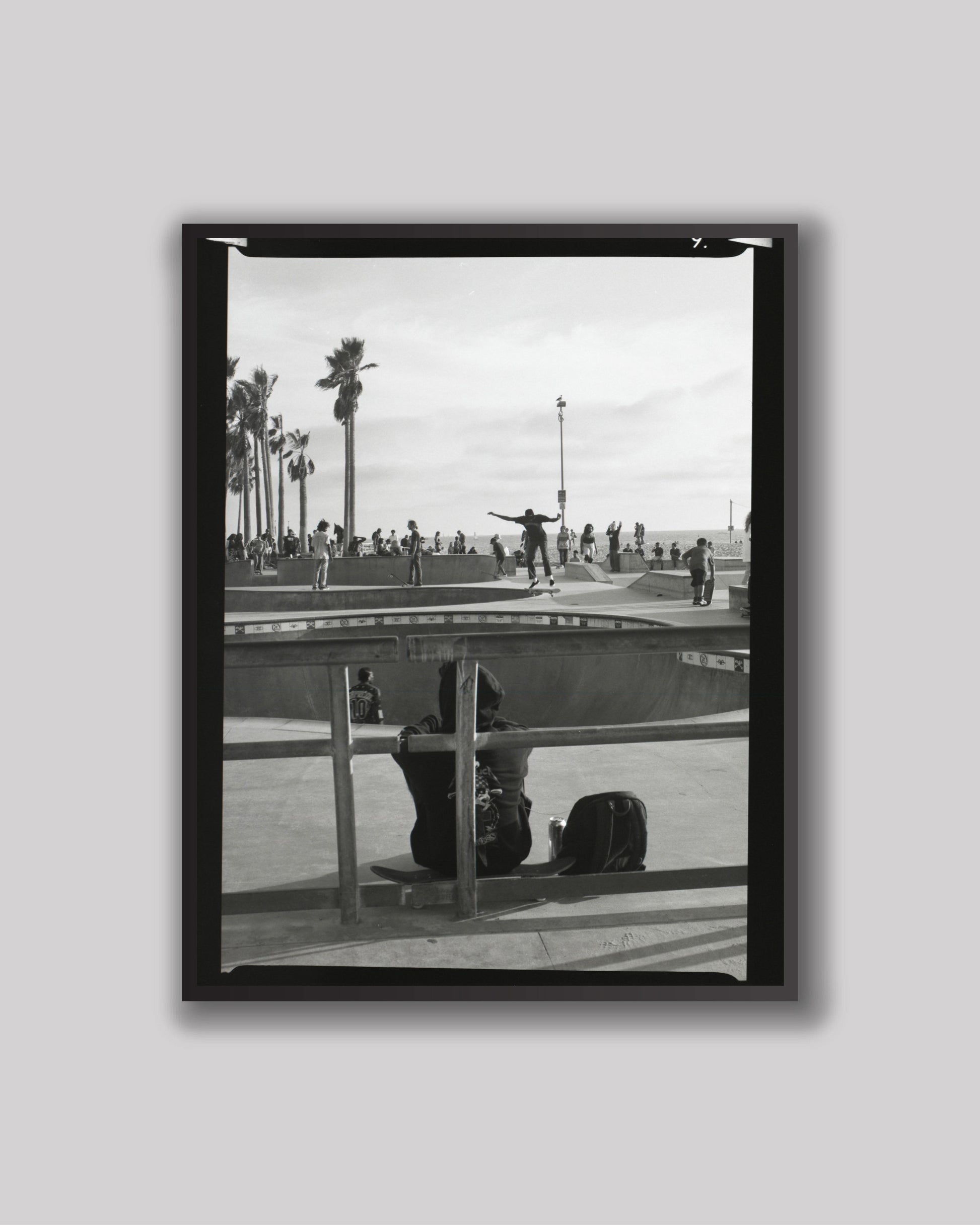 Framed black and white photograph of a skate park with palm trees in the background.