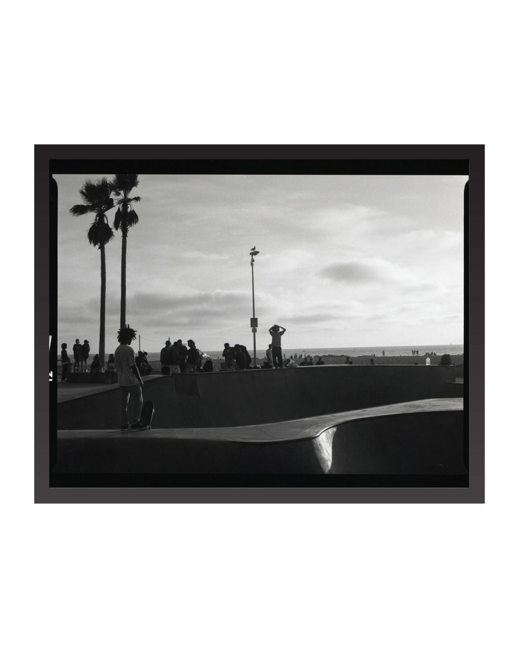 Black and white photo of a skateboarder at a skate park with palm trees and people in the background.
