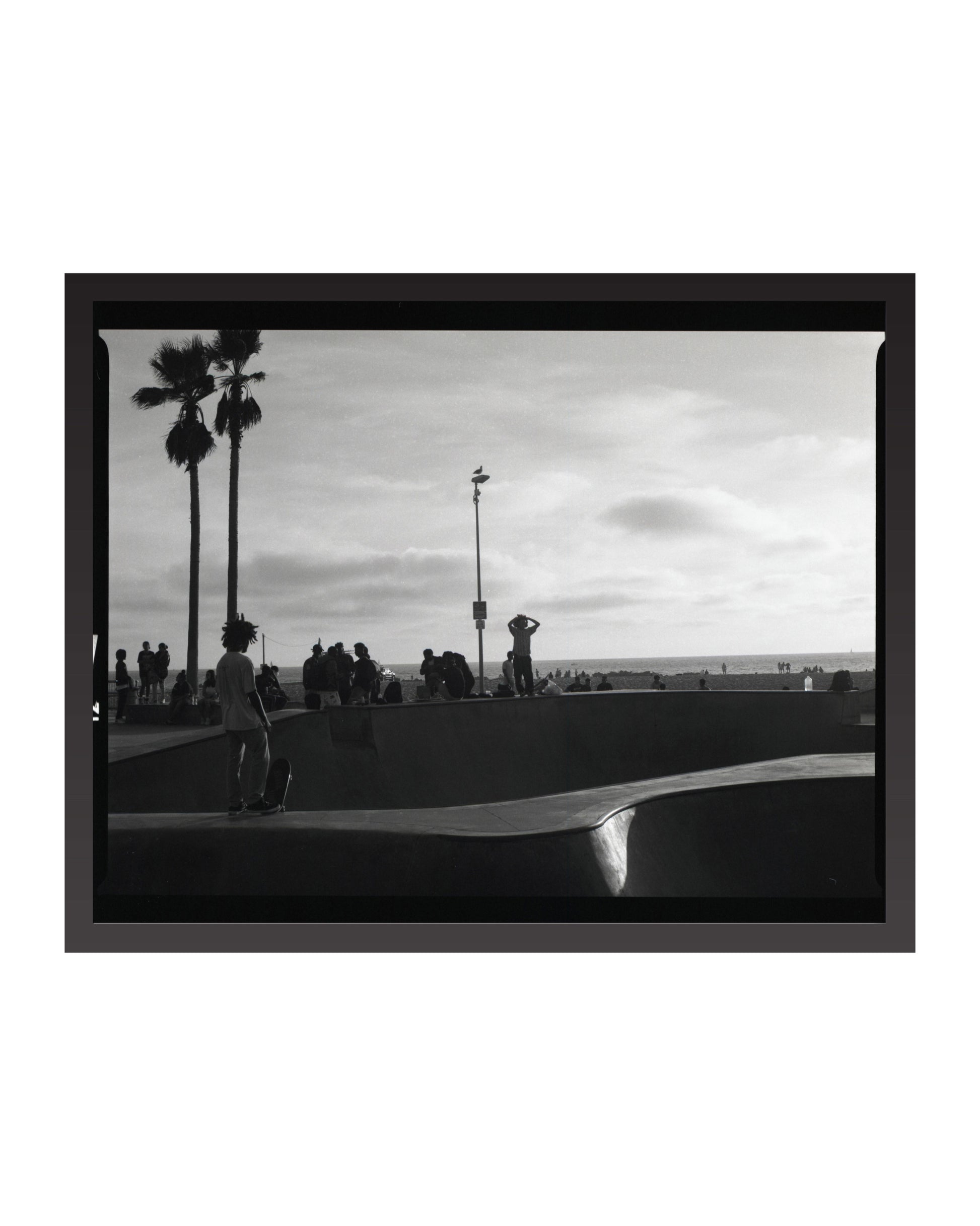 Black and white photo of a skateboarder at a skate park with palm trees and people in the background.