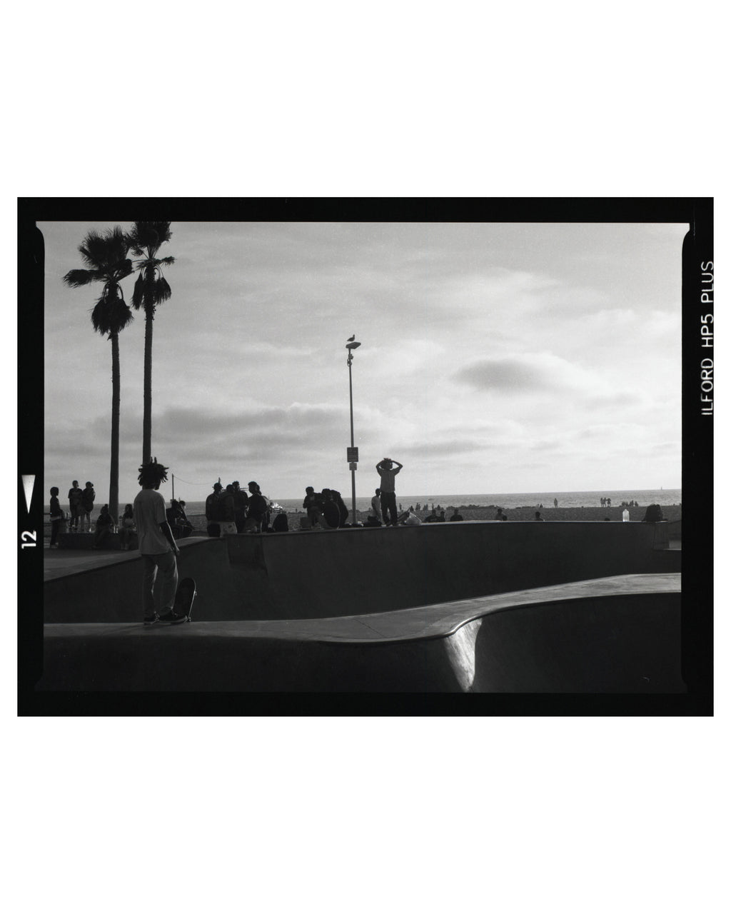 Skateboarder at a Venice beach skate park